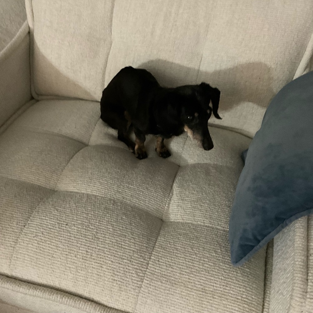 Meet your Posher, Nancy